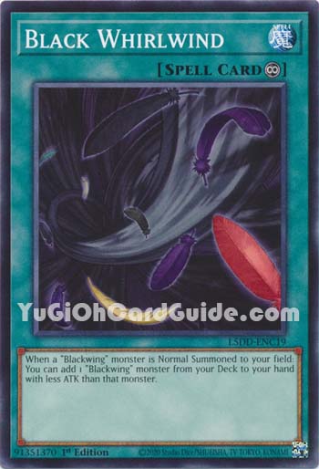 Yu-Gi-Oh Card: Black Whirlwind