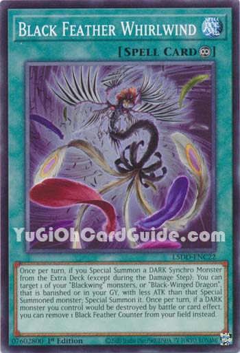 Yu-Gi-Oh Card: Black Feather Whirlwind