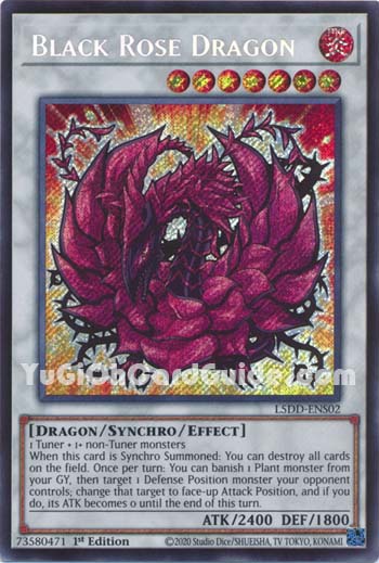 Yu-Gi-Oh Card: Black Rose Dragon