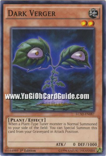 Yu-Gi-Oh Card: Dark Verger