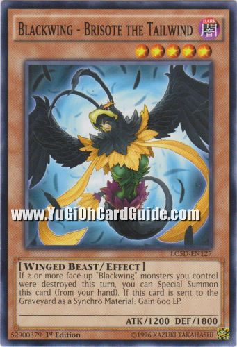 Yu-Gi-Oh Card: Blackwing - Brisote the Tailwind