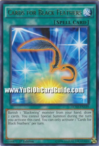 Yu-Gi-Oh Card: Cards for Black Feathers