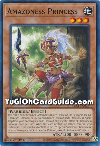 Yu-Gi-Oh Card: Amazoness Princess