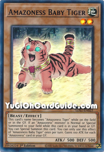 Yu-Gi-Oh Card: Amazoness Baby Tiger