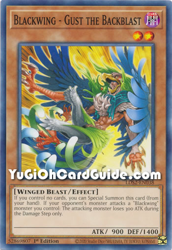 Yu-Gi-Oh Card: Blackwing - Gust the Backblast