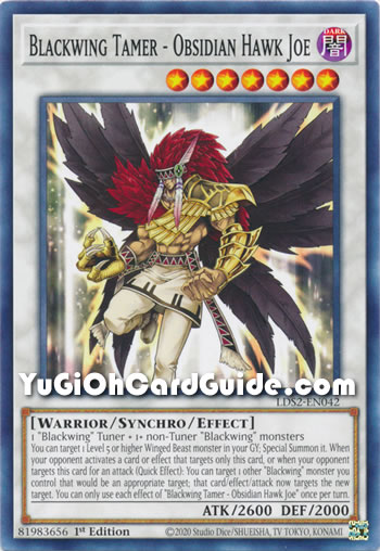 Yu-Gi-Oh Card: Blackwing Tamer - Obsidian Hawk Joe