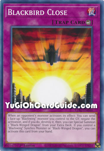 Yu-Gi-Oh Card: Blackbird Close