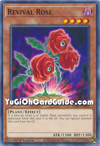 Yu-Gi-Oh Card: Revival Rose