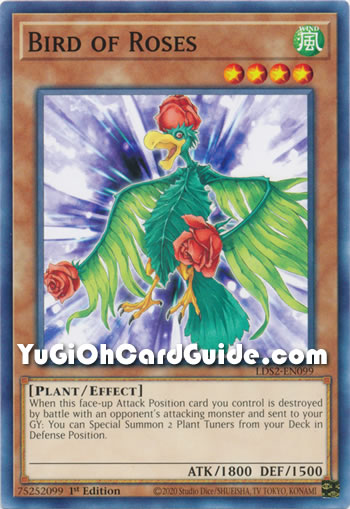 Yu-Gi-Oh Card: Bird of Roses