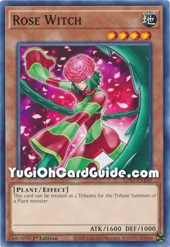 Yu-Gi-Oh Card: Rose Witch