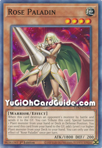 Yu-Gi-Oh Card: Rose Paladin