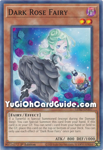 Yu-Gi-Oh Card: Dark Rose Fairy