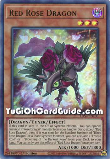 Yu-Gi-Oh Card: Red Rose Dragon