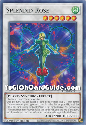Yu-Gi-Oh Card: Splendid Rose