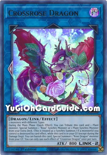 Yu-Gi-Oh Card: Crossrose Dragon
