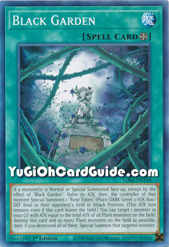 Yu-Gi-Oh Card: Black Garden