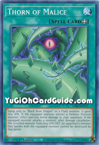 Yu-Gi-Oh Card: Thorn of Malice