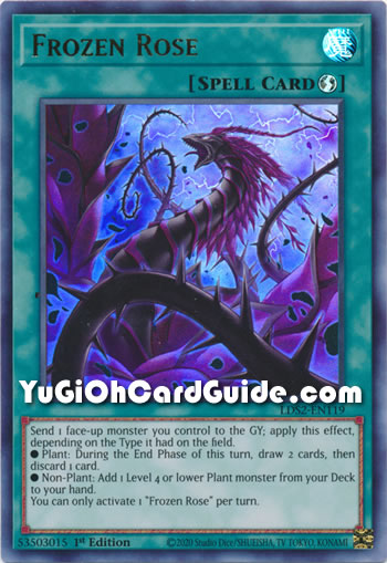 Yu-Gi-Oh Card: Frozen Rose