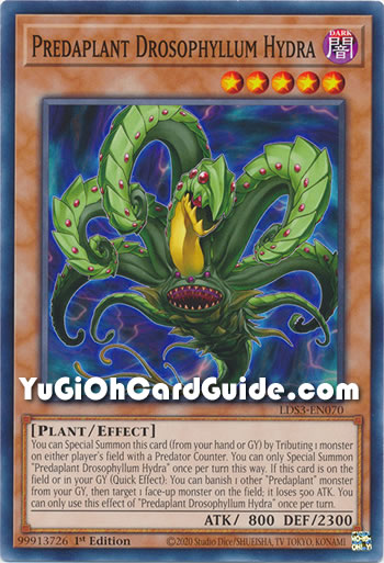 Yu-Gi-Oh Card: Predaplant Drosophyllum Hydra