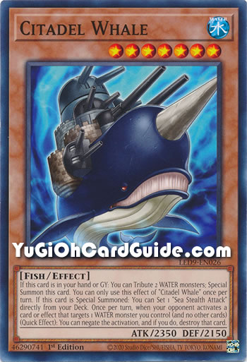 Yu-Gi-Oh Card: Citadel Whale