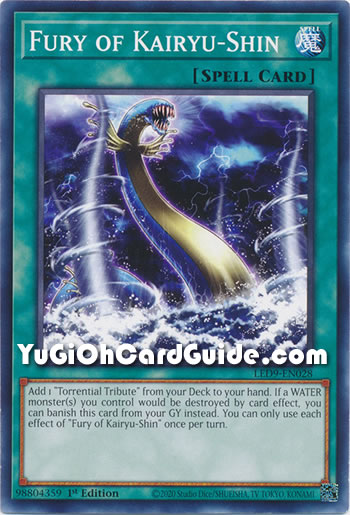 Yu-Gi-Oh Card: Fury of Kairyu-Shin