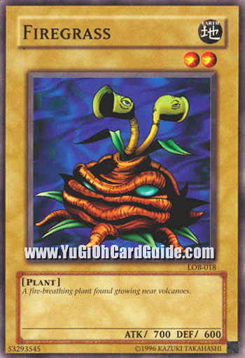 Yu-Gi-Oh Card: Firegrass