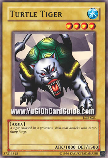 Yu-Gi-Oh Card: Turtle Tiger