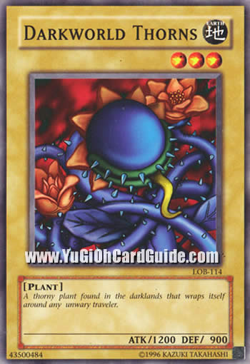 Yu-Gi-Oh Card: Darkworld Thorns