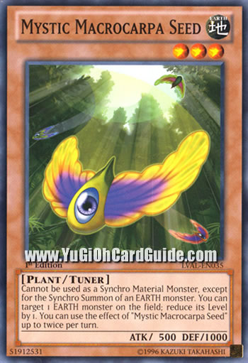 Yu-Gi-Oh Card: Mystic Macrocarpa Seed