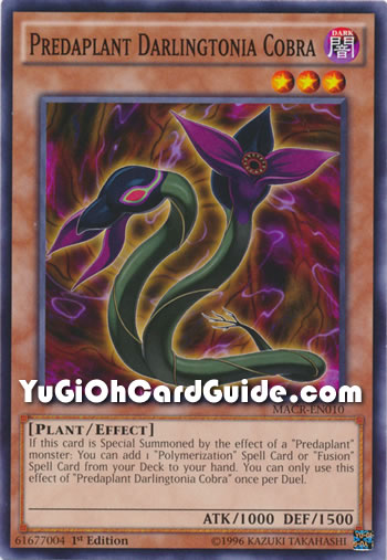 Yu-Gi-Oh Card: Predaplant Darlingtonia Cobra
