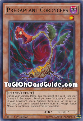 Yu-Gi-Oh Card: Predaplant Cordyceps