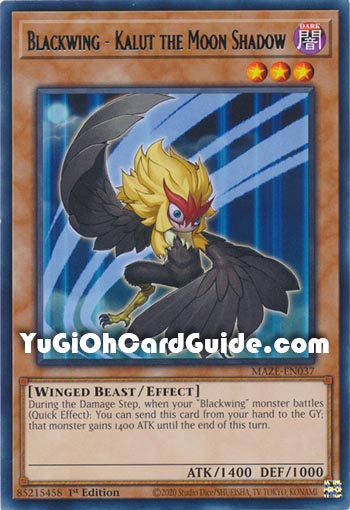 Yu-Gi-Oh Card: Blackwing - Kalut the Moon Shadow