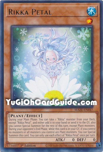 Yu-Gi-Oh Card: Rikka Petal