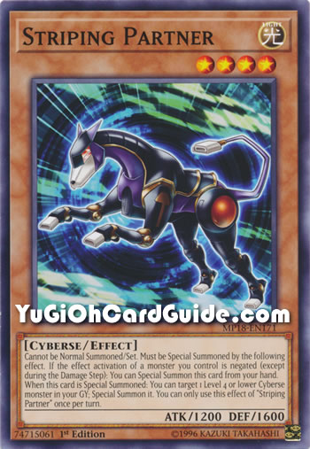 Yu-Gi-Oh Card: Striping Partner