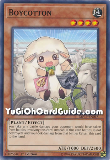 Yu-Gi-Oh Card: Boycotton