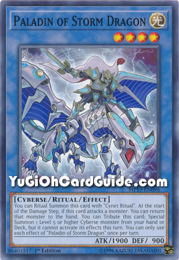 Yu-Gi-Oh Card: Paladin of Storm Dragon