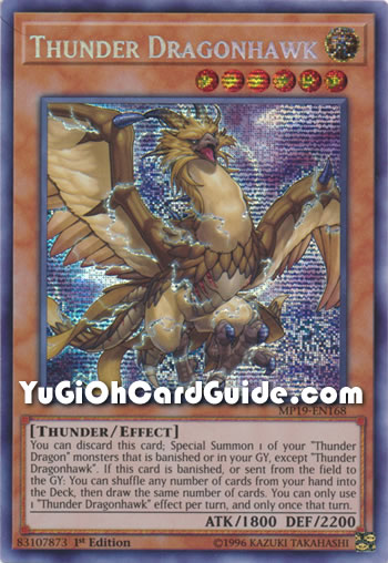 Yu-Gi-Oh Card: Thunder Dragonhawk