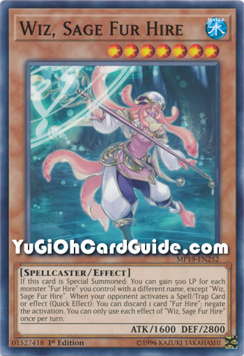 Yu-Gi-Oh Card: Wiz, Sage Fur Hire