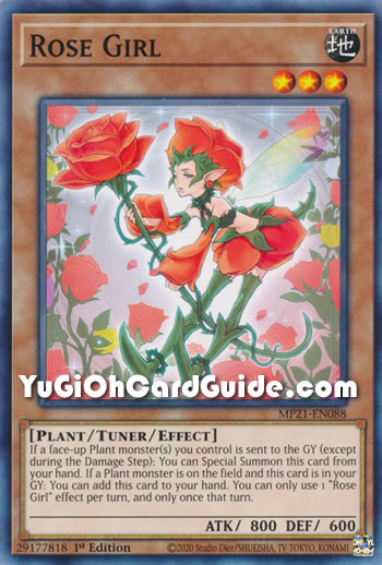 Yu-Gi-Oh Card: Rose Girl