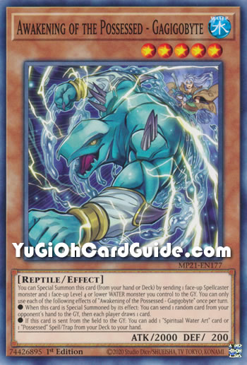 Yu-Gi-Oh Card: Awakening of the Possessed - Gagigobyte