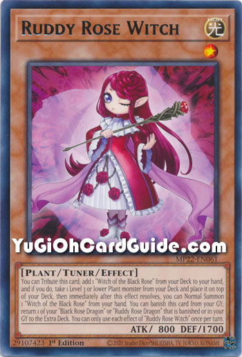 Yu-Gi-Oh Card: Ruddy Rose Witch