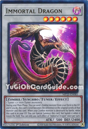Yu-Gi-Oh Card: Immortal Dragon