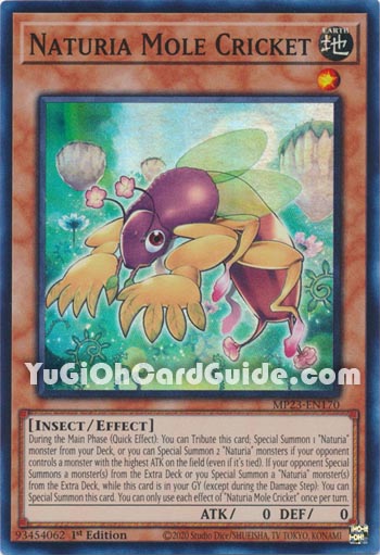 Yu-Gi-Oh Card: Naturia Mole Cricket
