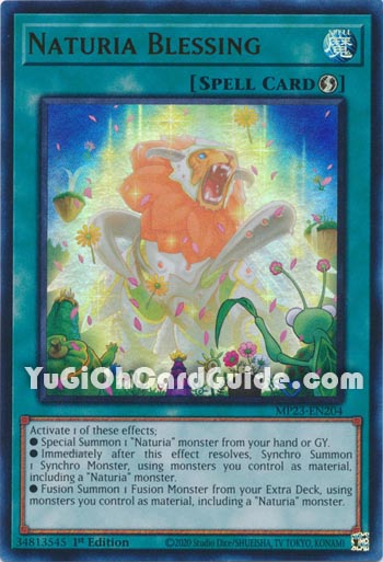 Yu-Gi-Oh Card: Naturia Blessing