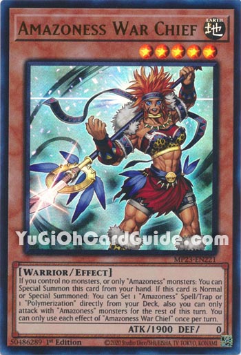 Yu-Gi-Oh Card: Amazoness War Chief