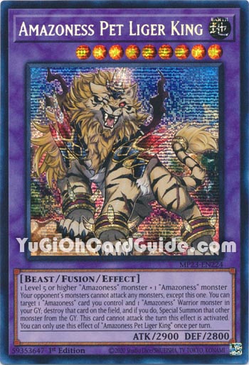 Yu-Gi-Oh Card: Amazoness Pet Liger King