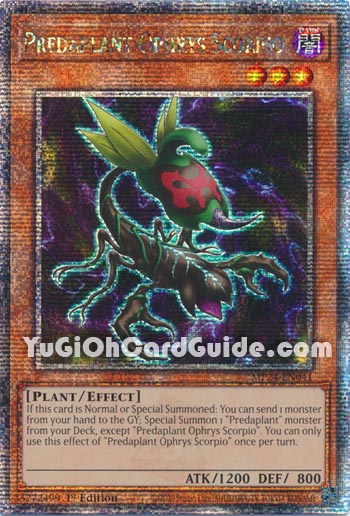 Yu-Gi-Oh Card: Predaplant Ophrys Scorpio