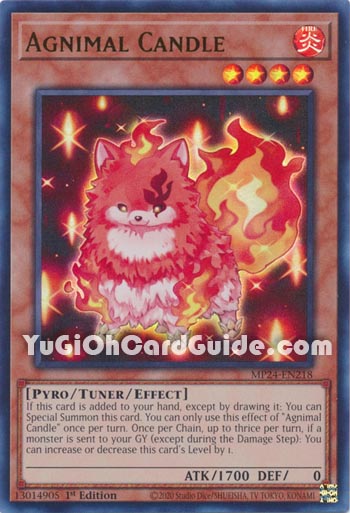 Yu-Gi-Oh Card: Agnimal Candle