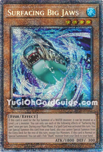 Yu-Gi-Oh Card: Surfacing Big Jaws