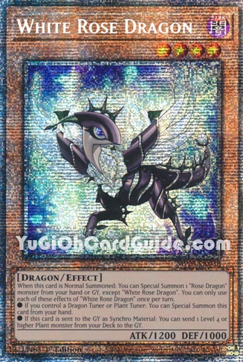 Yu-Gi-Oh Card: White Rose Dragon